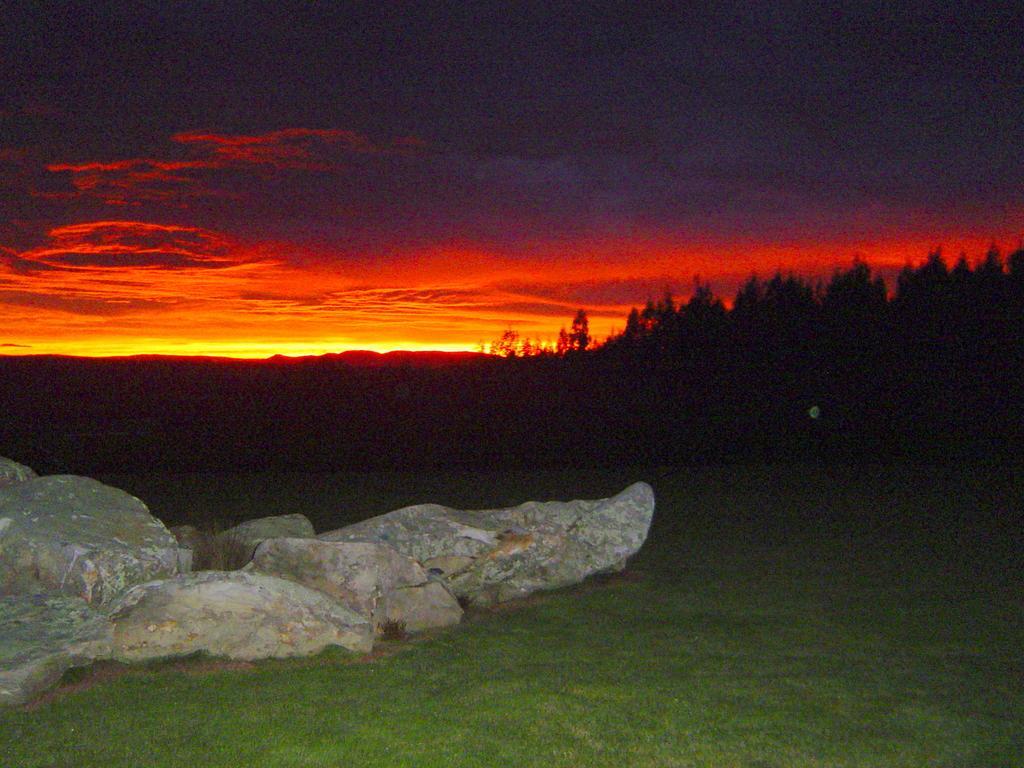 Hokonui Bed & Breakfast Gore Chambre photo
